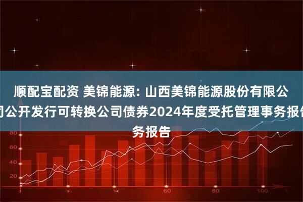 顺配宝配资 美锦能源: 山西美锦能源股份有限公司公开发行可转换公司债券2024年度受托管理事务报告
