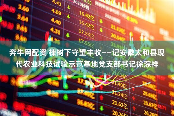 奔牛网配资 楝树下守望丰收——记安徽太和县现代农业科技试验示范基地党支部书记徐淙祥