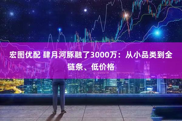 宏图优配 肆月河豚融了3000万：从小品类到全链条、低价格