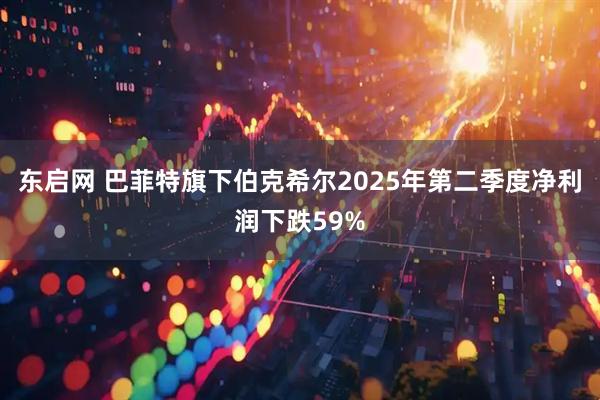 东启网 巴菲特旗下伯克希尔2025年第二季度净利润下跌59%