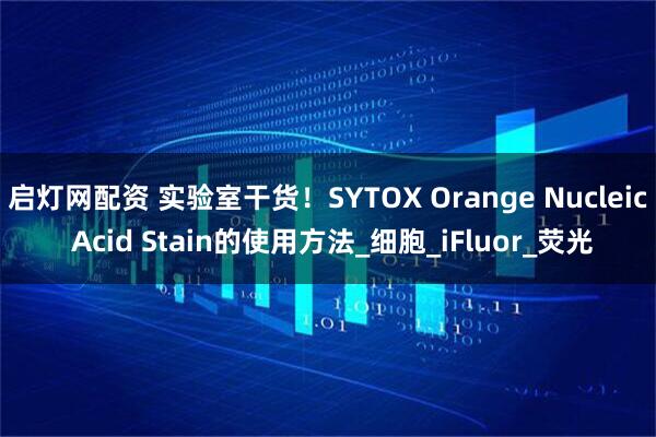 启灯网配资 实验室干货！SYTOX Orange Nucleic Acid Stain的使用方法_细胞_iFluor_荧光