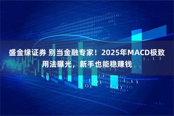 盛金缘证券 别当金融专家！2025年MACD极致用法曝光，新手也能稳赚钱